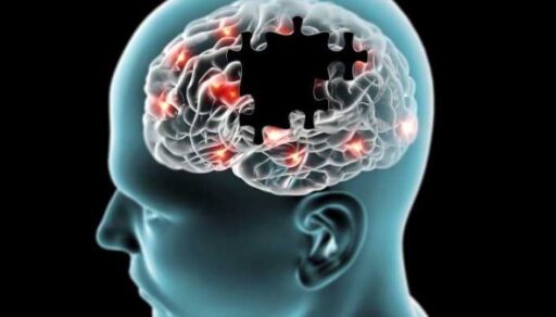 Understanding The Brain On Drugs: Recovery Timeline